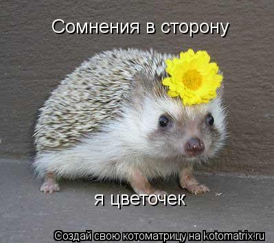 Сомнения в сторону я цветочек... Котоматрица: Сомнения в сторону я цветочек