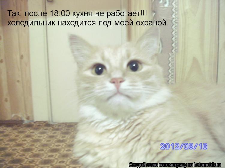 распорядок дня: 1 еда Так, после 18:00 кухня не работает!!! холодильник находится под моей охраной... Котоматрица: распорядок дня: 1 еда Так, после 18:00 кухня не работает!!! холодильник находится под моей охраной