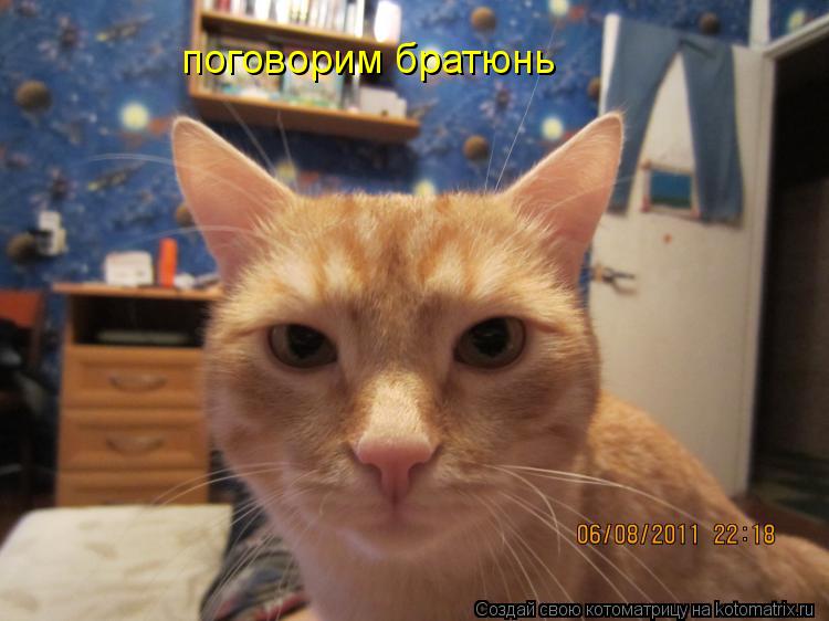 поговорим братюнь... Котоматрица: поговорим братюнь