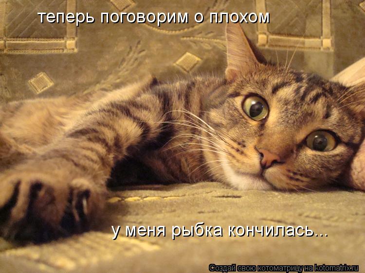 теперь поговорим о плохом у меня рыбка кончилась...... Котоматрица: теперь поговорим о плохом у меня рыбка кончилась...