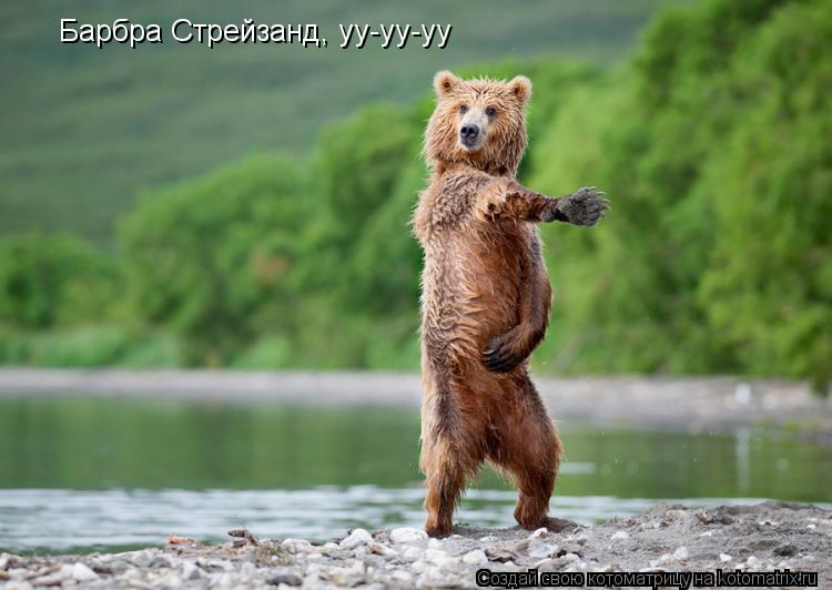 Барбра Стрейзанд, уу-уу-уу... Котоматрица: Барбра Стрейзанд, уу-уу-уу