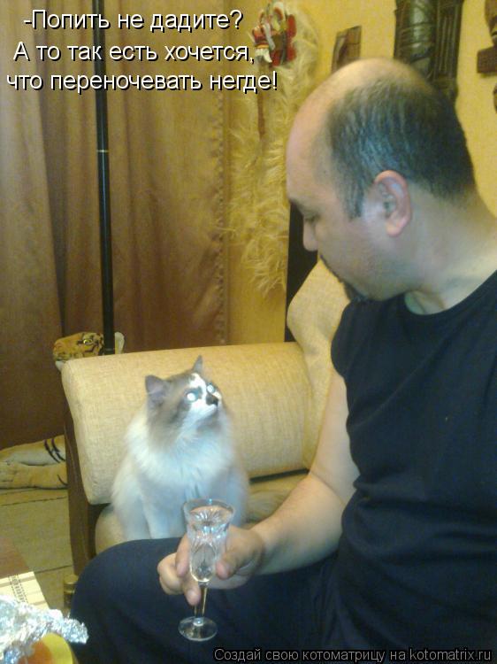 -Попить не дадите? А то так есть хочется, что переночевать негде!... Котоматрица: -Попить не дадите? А то так есть хочется, что переночевать негде!