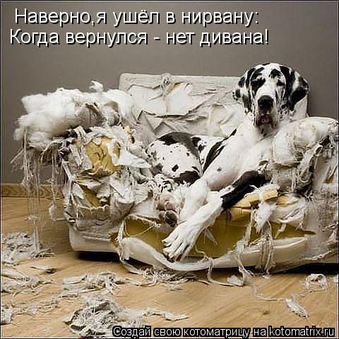 Котоматрица: Наверно,я ушёл в нирвану: Когда вернулся - нет дивана!