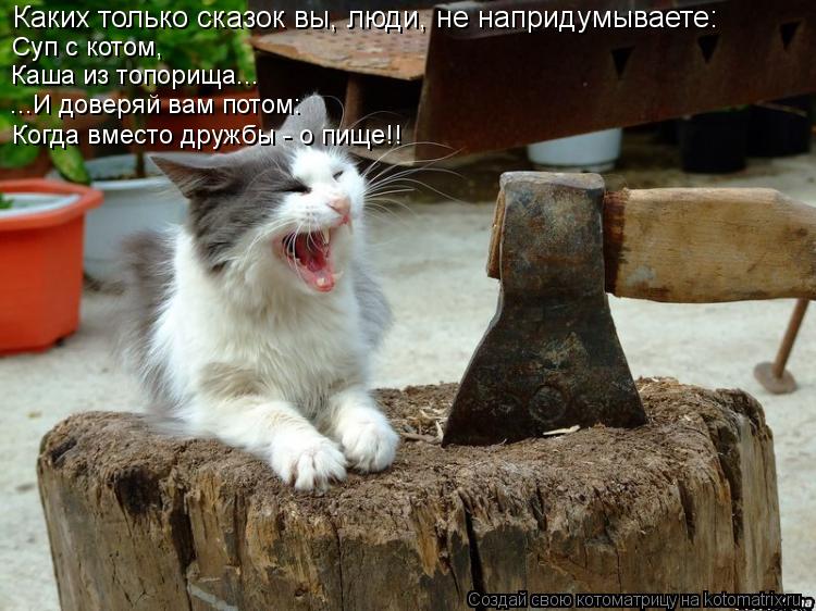 Каких только сказок вы, люди, не напридумываете: Суп с котом, Каша из топорища... ...И доверяй вам по... Котоматрица: Каких только сказок вы, люди, не напридумываете: Суп с котом, Каша из топорища... ...И доверяй вам потом: Когда вместо дружбы - о пище!!