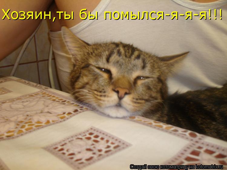 Хозяин,ты бы помылся-я-я-я!!!... Котоматрица: Хозяин,ты бы помылся-я-я-я!!!