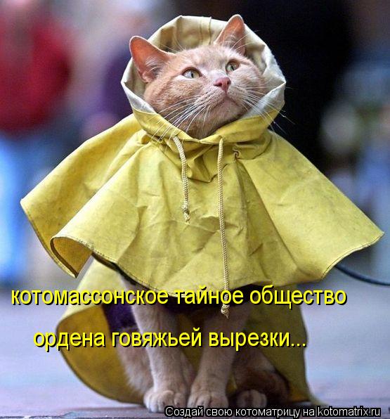котомассонское тайное общество ордена говяжьей вырезки...... Котоматрица: котомассонское тайное общество ордена говяжьей вырезки...