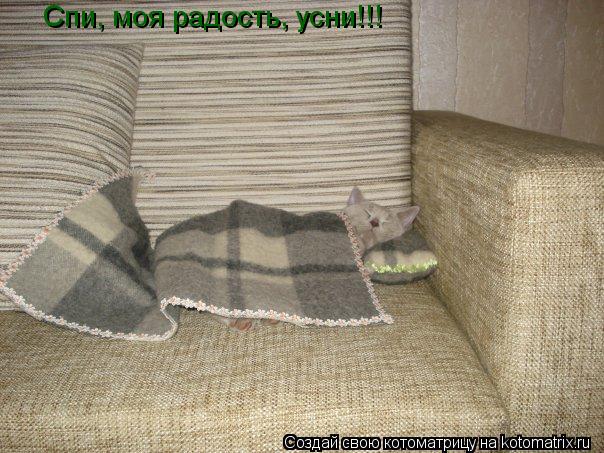 Спи, моя радость, усни!!!... Котоматрица: Спи, моя радость, усни!!!