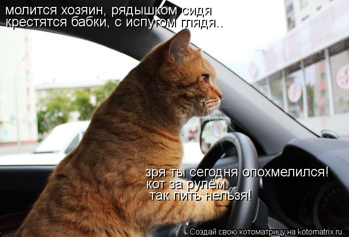 Котоматрица: молится хозяин, рядышком сидя крестятся бабки, с испугом глядя.. кот за рулём...  так пить нельзя! зря ты сегодня опохмелился!