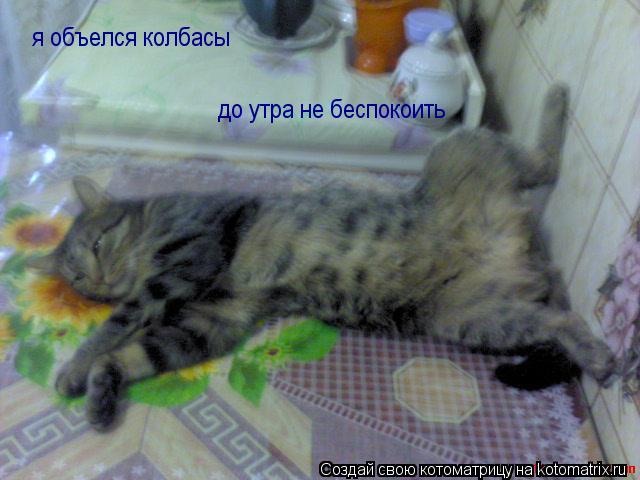 я объелся колбасы до утра не беспокоить... Котоматрица: я объелся колбасы до утра не беспокоить