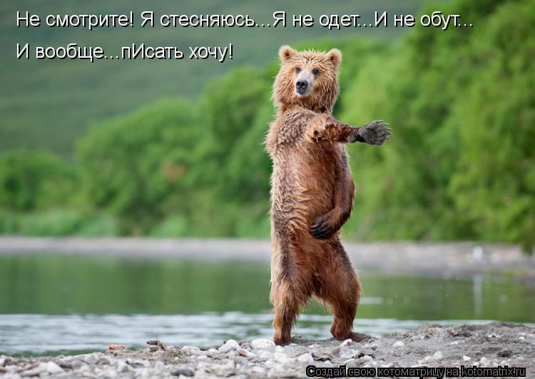 Не смотрите! Я стесняюсь...Я не одет...И не обут... И вообще...пИсать хочу!... Котоматрица: Не смотрите! Я стесняюсь...Я не одет...И не обут... И вообще...пИсать хочу!