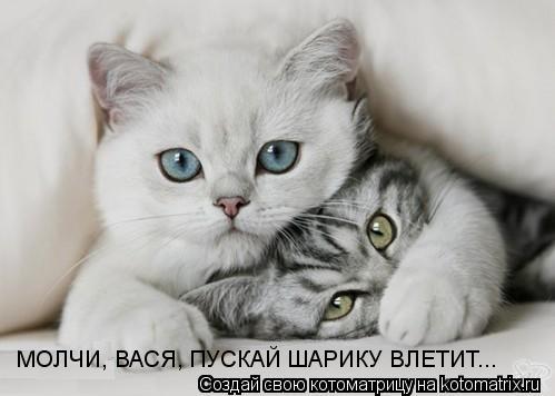 МОЛЧИ, ВАСЯ, ПУСКАЙ ШАРИКУ ВЛЕТИТ...... Котоматрица: МОЛЧИ, ВАСЯ, ПУСКАЙ ШАРИКУ ВЛЕТИТ...