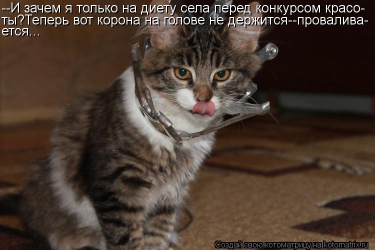 --И зачем я только на диету села перед конкурсом красо- ты?Теперь вот корона на голове не держится--п... Котоматрица: --И зачем я только на диету села перед конкурсом красо- ты?Теперь вот корона на голове не держится--провалива- ется...