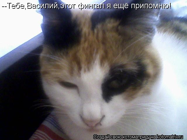 --Тебе,Василий,этот фингал я ещё припомню!... Котоматрица: --Тебе,Василий,этот фингал я ещё припомню!