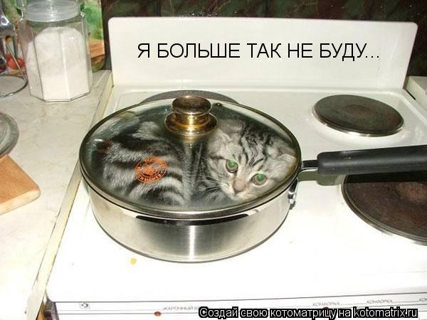 Я БОЛЬШЕ ТАК НЕ БУДУ...... Котоматрица: Я БОЛЬШЕ ТАК НЕ БУДУ...