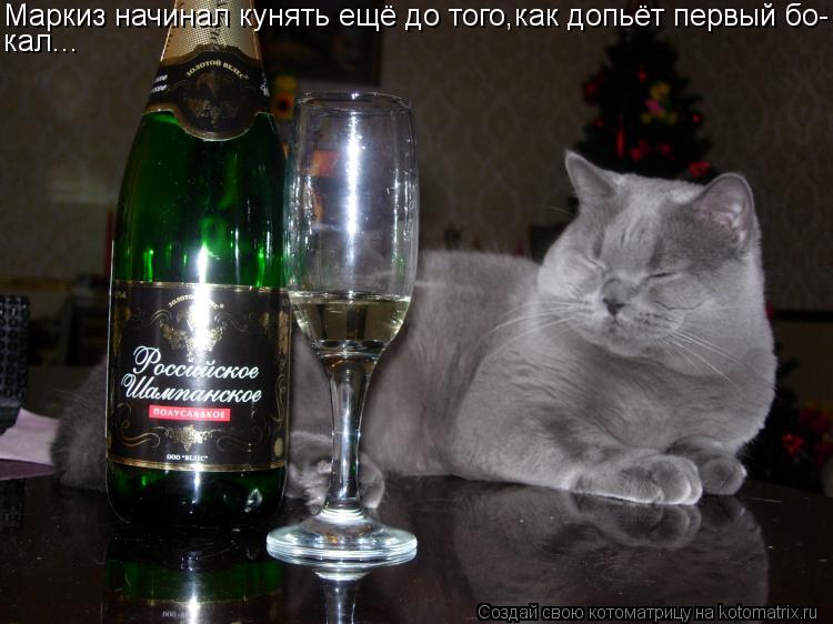 Маркиз начинал кунять ещё до того,как допьёт первый бо- кал...... Котоматрица: Маркиз начинал кунять ещё до того,как допьёт первый бо- кал...