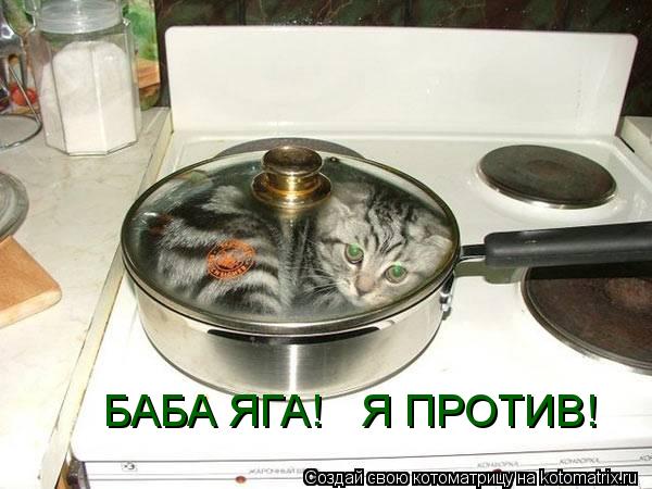 БАБА ЯГА! Я ПРОТИВ!... Котоматрица: БАБА ЯГА! Я ПРОТИВ!