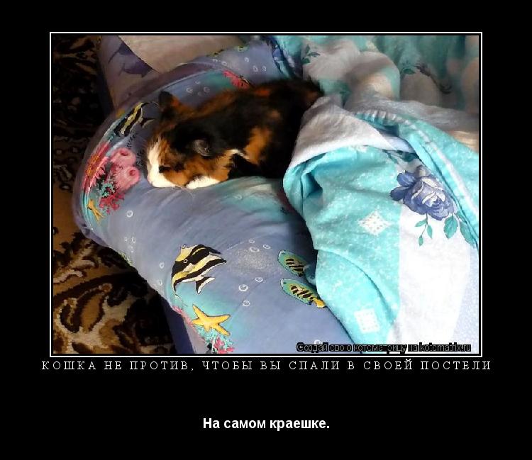 Кошка не против, чтобы вы спали в своей постели На самом краешке.... Котоматрица: Кошка не против, чтобы вы спали в своей постели На самом краешке.