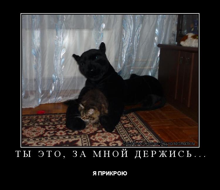 Ты это, за мной держись... Я ПРИКРОЮ... Котоматрица: Ты это, за мной держись... Я ПРИКРОЮ
