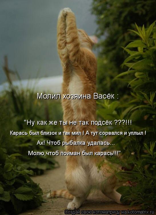 "Ну как же ты не так подсёк ???!!! Карась был близок и так мил ! А тут сорвался и уплыл ! Ах! Чтоб ры... Котоматрица: "Ну как же ты не так подсёк ???!!! Карась был близок и так мил ! А тут сорвался и уплыл ! Ах! Чтоб рыбалка удалась... Молю,чтоб пойман был карась!!!"