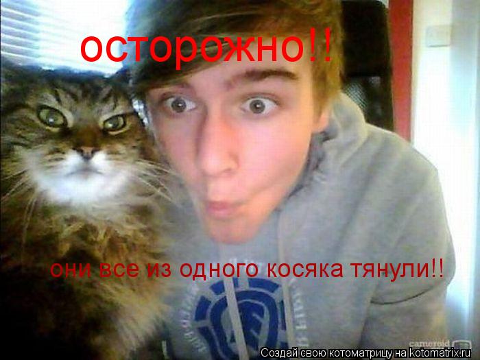 осторожно!! они все из одного косяка тянули!!... Котоматрица: осторожно!! они все из одного косяка тянули!!