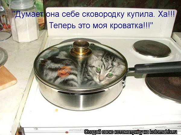 "Думает она себе сковородку купила. Ха!!! Теперь это моя кроватка!!!"... Котоматрица: "Думает она себе сковородку купила. Ха!!! Теперь это моя кроватка!!!"