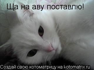 Ща на аву поставлю!... Котоматрица: Ща на аву поставлю!