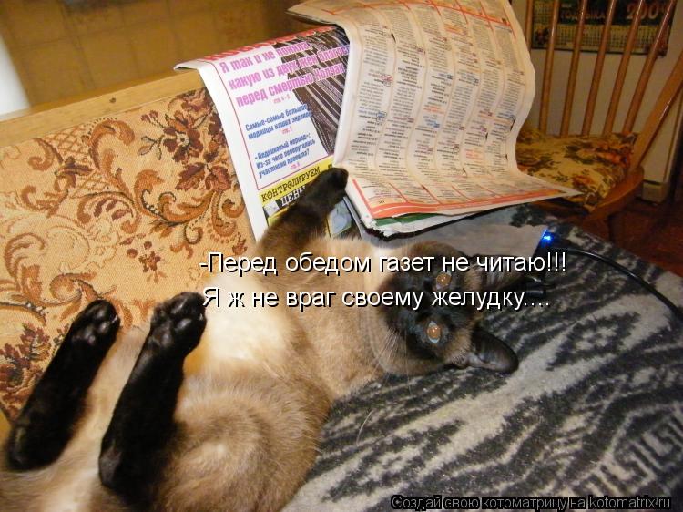 -Перед обедом газет не читаю!!! Я ж не враг своему желудку....... Котоматрица: -Перед обедом газет не читаю!!! Я ж не враг своему желудку....