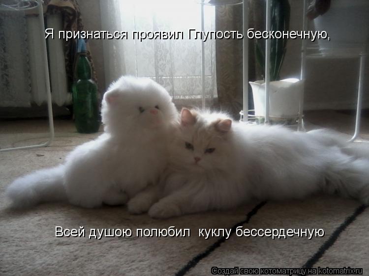 Я признаться проявил Глупость бесконечную, Всей душою полюбил куклу бессердечную... Котоматрица: Я признаться проявил Глупость бесконечную, Всей душою полюбил куклу бессердечную