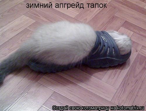 зимний апгрейд тапок... Котоматрица: зимний апгрейд тапок