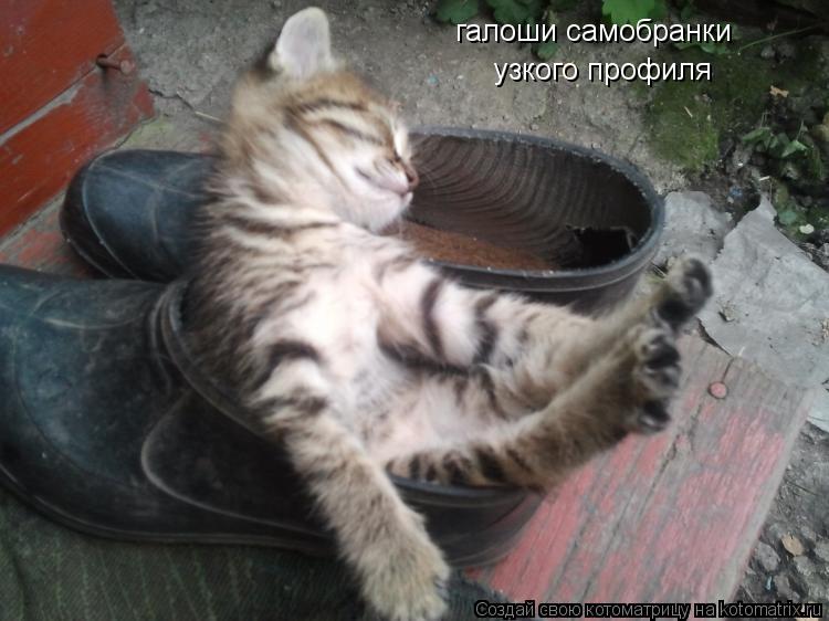 галоши самобранки узкого профиля... Котоматрица: галоши самобранки узкого профиля