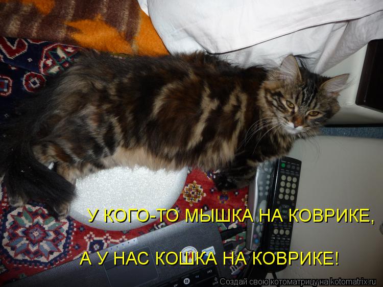 У КОГО-ТО МЫШКА НА КОВРИКЕ, А У НАС КОШКА НА КОВРИКЕ!... Котоматрица: У КОГО-ТО МЫШКА НА КОВРИКЕ, А У НАС КОШКА НА КОВРИКЕ!