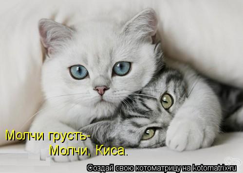 Молчи грусть- Молчи, Киса.... Котоматрица: Молчи грусть- Молчи, Киса.