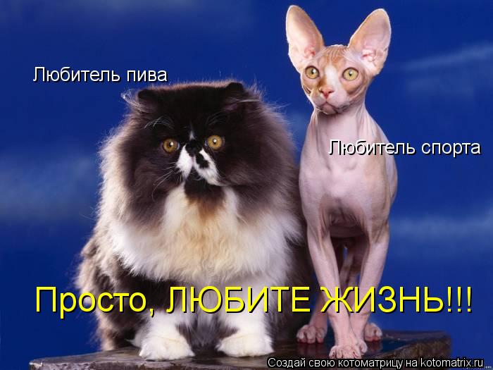 Любитель пива Любитель спорта Просто, ЛЮБИТЕ ЖИЗНЬ!!!... Котоматрица: Любитель пива Любитель спорта Просто, ЛЮБИТЕ ЖИЗНЬ!!!
