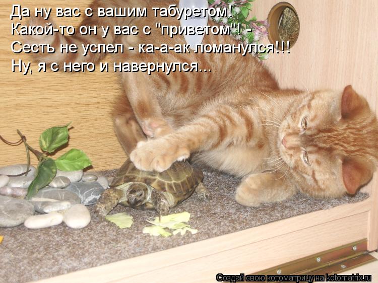 Да ну вас с вашим табуретом! Какой-то он у вас с "приветом"! - Сесть не успел - ка-а-ак ломанулся!!! ... Котоматрица: Да ну вас с вашим табуретом! Какой-то он у вас с "приветом"! - Сесть не успел - ка-а-ак ломанулся!!! Ну, я с него и навернулся...