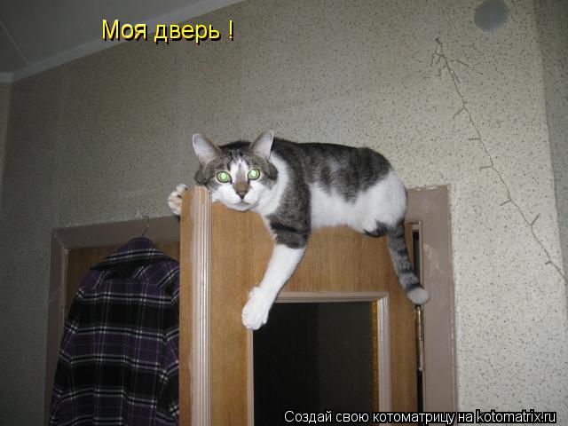 ъх Моя Моя дверь ! Моя дверь ! Моя дверь !... Котоматрица: ъх Моя Моя дверь ! Моя дверь ! Моя дверь !