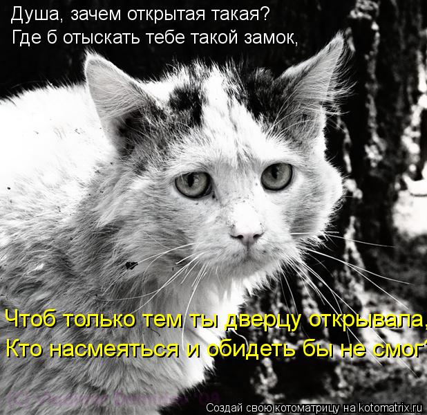 Душа, зачем открытая такая? Где б отыскать тебе такой замок, Чтоб только тем ты дверцу открывала, ... Котоматрица: Душа, зачем открытая такая? Где б отыскать тебе такой замок, Чтоб только тем ты дверцу открывала, Кто насмеяться и обидеть бы не смог?