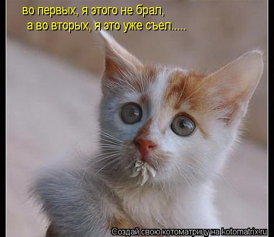во первых, я этого не брал, а во вторых, я это уже съел........ Котоматрица: во первых, я этого не брал, а во вторых, я это уже съел.....