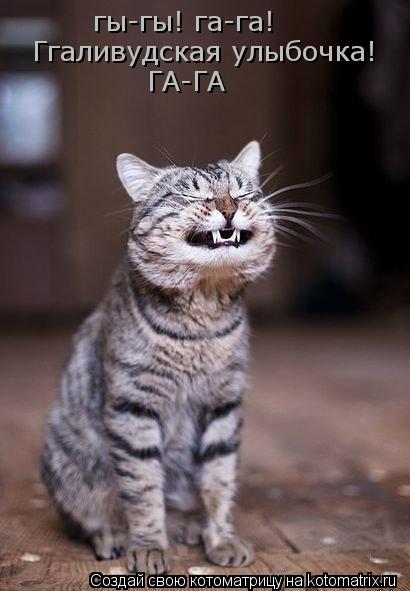 гы-гы! га-га! Ггаливудская улыбочка! ГА-ГА... Котоматрица: гы-гы! га-га! Ггаливудская улыбочка! ГА-ГА