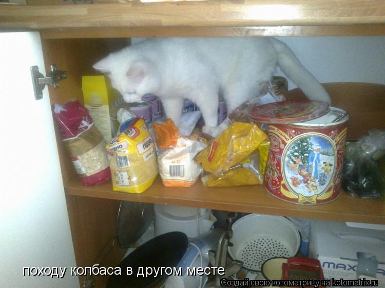 походу колбаса в другом месте... Котоматрица: походу колбаса в другом месте