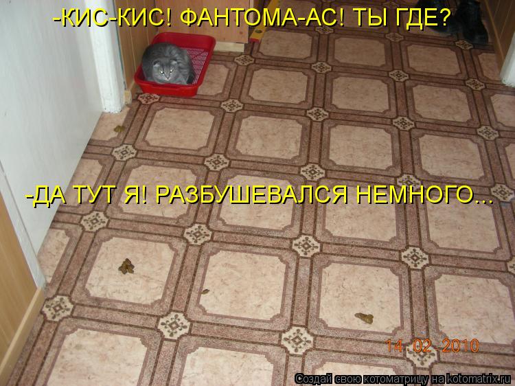 -КИС-КИС! ФАНТОМА-АС! ТЫ ГДЕ? -ДА ТУТ Я! РАЗБУШЕВАЛСЯ НЕМНОГО...... Котоматрица: -КИС-КИС! ФАНТОМА-АС! ТЫ ГДЕ? -ДА ТУТ Я! РАЗБУШЕВАЛСЯ НЕМНОГО...