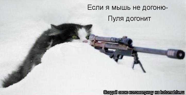 Если я мышь не догоню- Пуля догонит... Котоматрица: Если я мышь не догоню- Пуля догонит