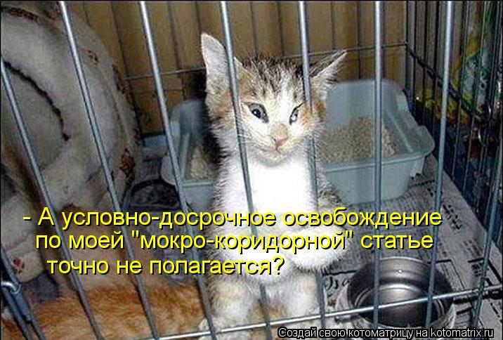 - А условно-досрочное освобождение по моей "мокро-коридорной" статье точно не полагается?... Котоматрица: - А условно-досрочное освобождение по моей "мокро-коридорной" статье точно не полагается?