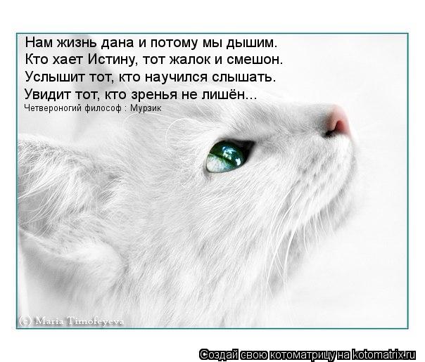 Нам жизнь дана и потому мы дышим. Кто хает Истину, тот жалок и смешон. Услышит тот, кто научился слыш... Котоматрица: Нам жизнь дана и потому мы дышим. Кто хает Истину, тот жалок и смешон. Услышит тот, кто научился слышать. Увидит тот, кто зренья не лишён... Чет