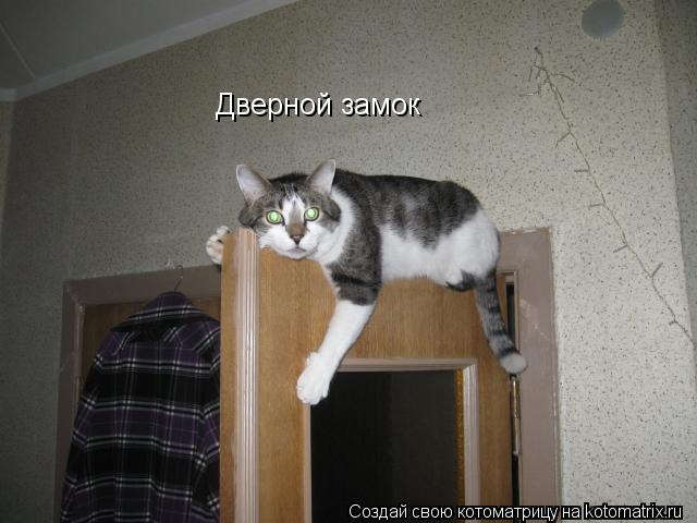 Дверной замок... Котоматрица: Дверной замок