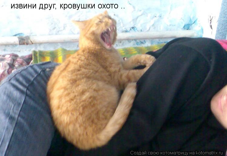 извини друг, кровушки охото ..... Котоматрица: извини друг, кровушки охото ..