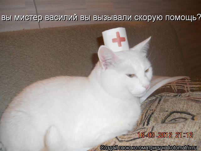 вы мистер василий вы вызывали скорую помощь?... Котоматрица: вы мистер василий вы вызывали скорую помощь?