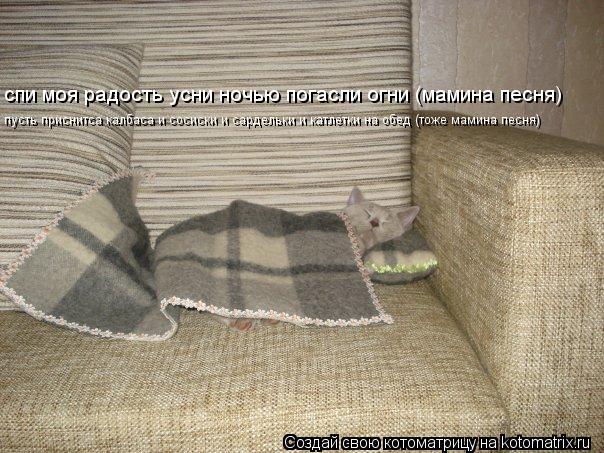 спи моя радость усни ночью погасли огни (мамина песня) пусть приснитса калбаса и сосиски и сардельки ... Котоматрица: спи моя радость усни ночью погасли огни (мамина песня) пусть приснитса калбаса и сосиски и сардельки и катлетки на обед (тоже мамина песня)