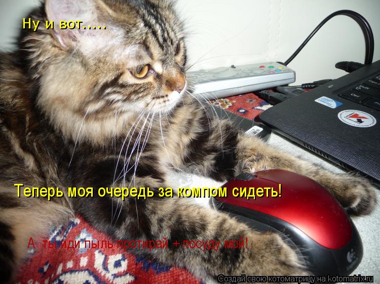 Ну и вот..... Теперь моя очередь за компом сидеть! А ты иди пыль протирай + посуду мой!... Котоматрица: Ну и вот..... Теперь моя очередь за компом сидеть! А ты иди пыль протирай + посуду мой!