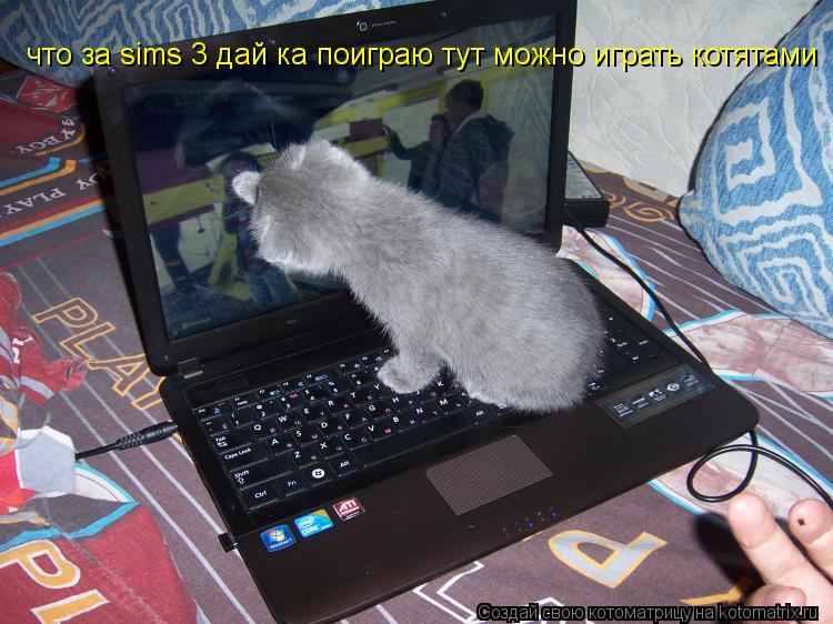 что за sims 3 дай ка поиграю тут можно играть котятами... Котоматрица: что за sims 3 дай ка поиграю тут можно играть котятами