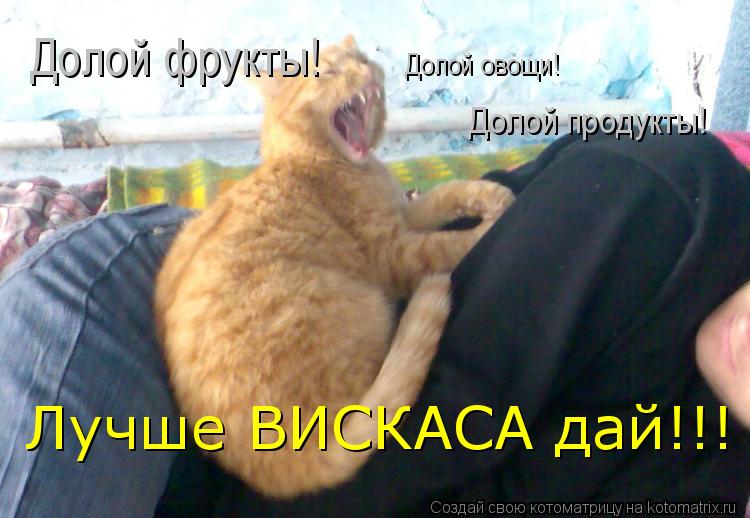 Долой фрукты! Долой овощи! Долой продукты! Лучше ВИСКАСА дай!!!... Котоматрица: Долой фрукты! Долой овощи! Долой продукты! Лучше ВИСКАСА дай!!!